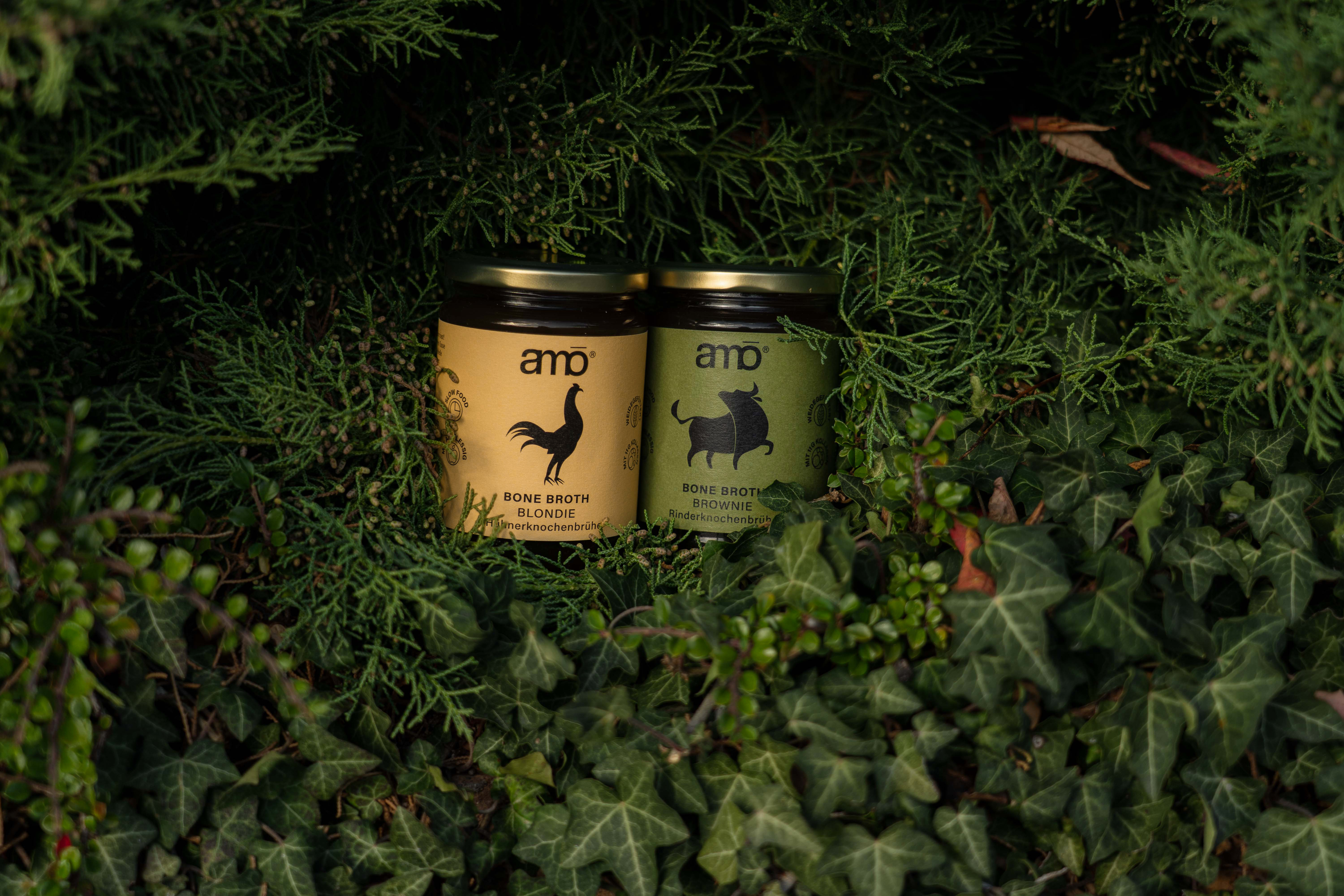 AMO Bone Broth Hero