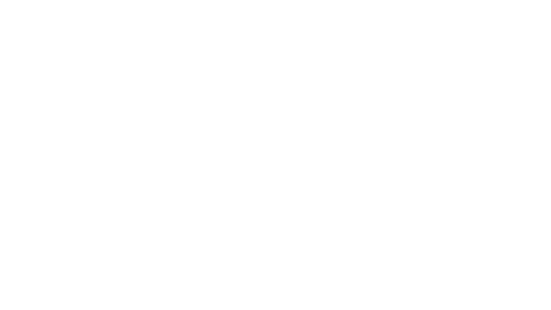 Mein Lokal Dein Lokal – Der Profi kommt