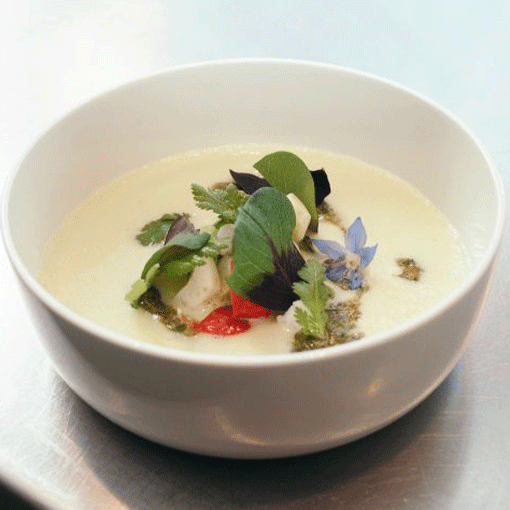 Geeiste Gurkensuppe mit Wildkräuterpesto