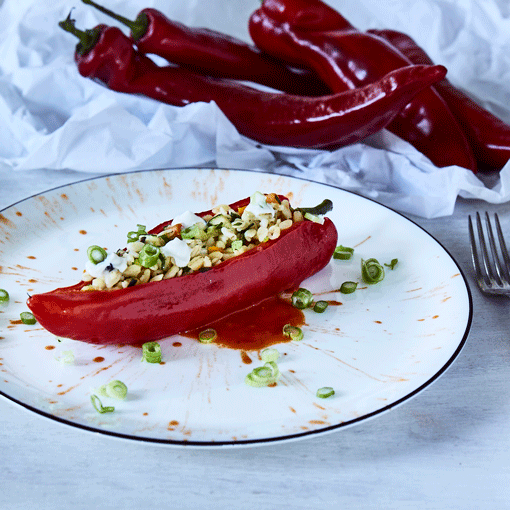 Gefüllte Paprika mit Zucchini und Tomatensauce